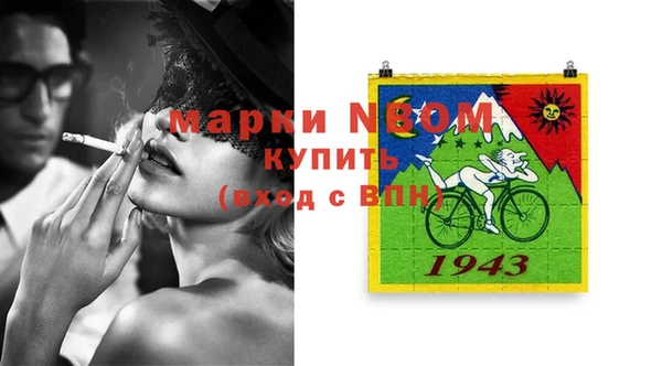 шишки Белокуриха