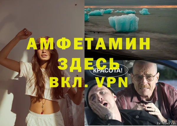 мескалин Богданович