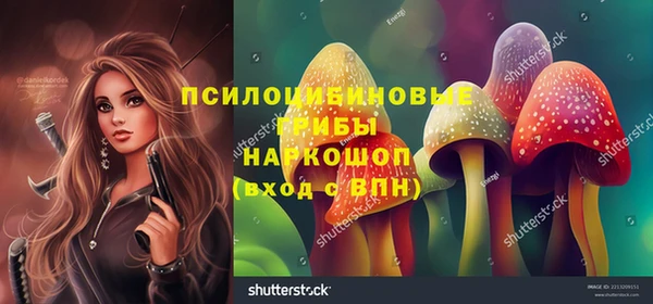 соль курить ск Бородино