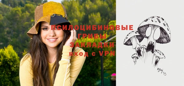 мескалин Богданович