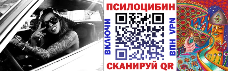 Псилоцибиновые грибы мицелий  mega   Ессентукская  хочу наркоту 